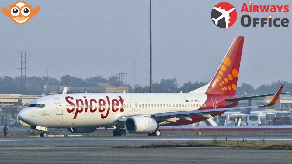 Spice Jet Airlines authorized office