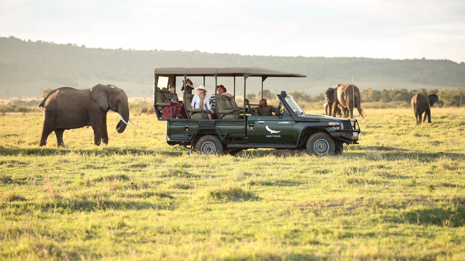 Masai Mara The Best Place For Safari | Airways Office | Airlines Office | Air Ticket Office