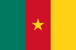 Cameroon Visa Requirements For Bangladeshi | Cameroon Visa Form Bangladesh