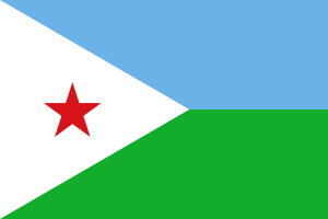 Djibouti Visa Requirements For Bangladeshi | Djibouti Visa Form Bangladesh