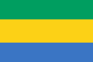 Gabon Visa Requirements For Bangladeshi | Gabon Visa Form Bangladesh