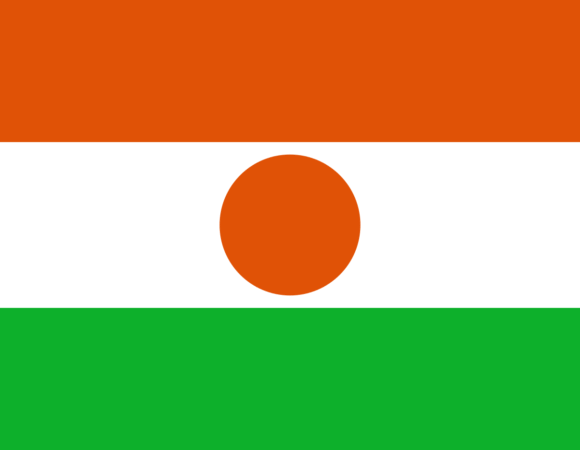 Niger Visa Requirements For Bangladeshi | Niger Visa Form Bangladesh