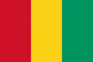 Guinea Visa Requirements For Bangladeshi | Guinea Visa Form Bangladesh