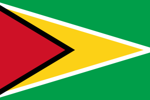 Guyana Visa Requirements For Bangladeshi | Guyana Visa Form Bangladesh