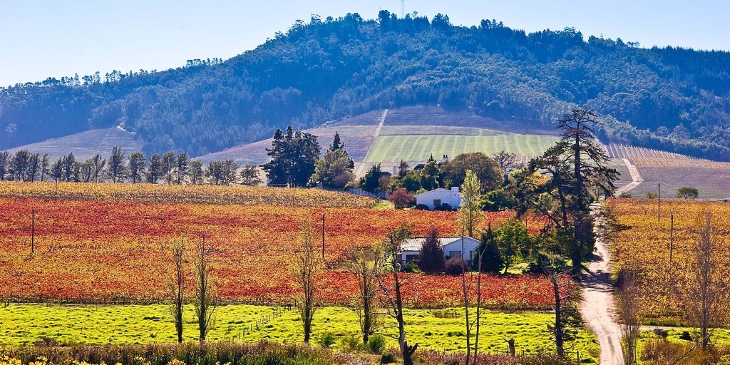 Top places in South Africa,the winelands