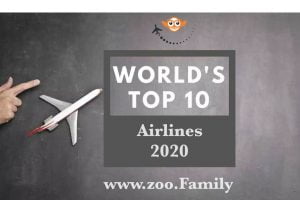 2020 Top 10 Airlines Award Winner