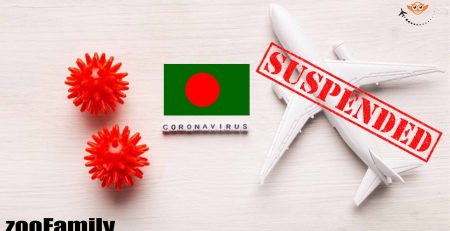 All Flights Suspended in bangladesh