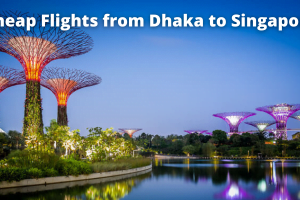 Dhaka to Singapore flight