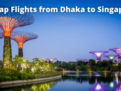 Dhaka to Singapore flight
