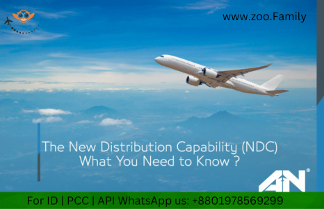 New Distribution Capability (NDC)
